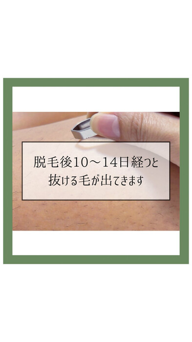 画像354
